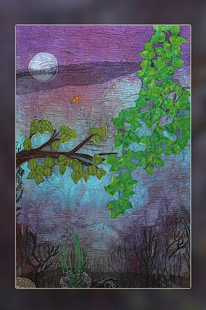 Werkfoto: in the moonlight